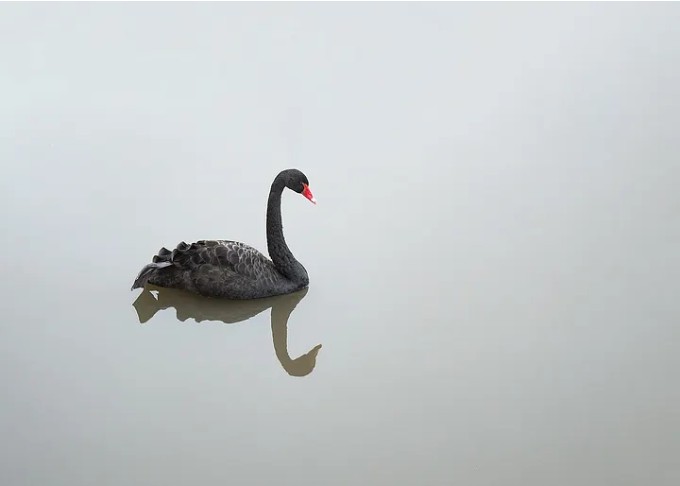 Market Carnage: A Deep Dive into Recent Events